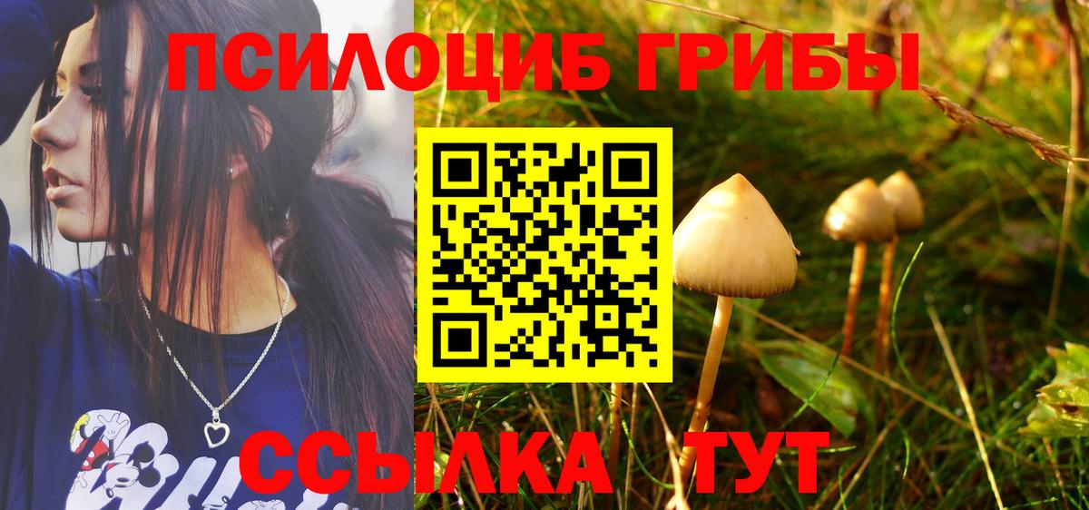 Псилоцибиновые грибы GOLDEN TEACHER  Псилоцибиновые грибы MAGIC MUSHROOMS  Железногорск  Вход с VPN 